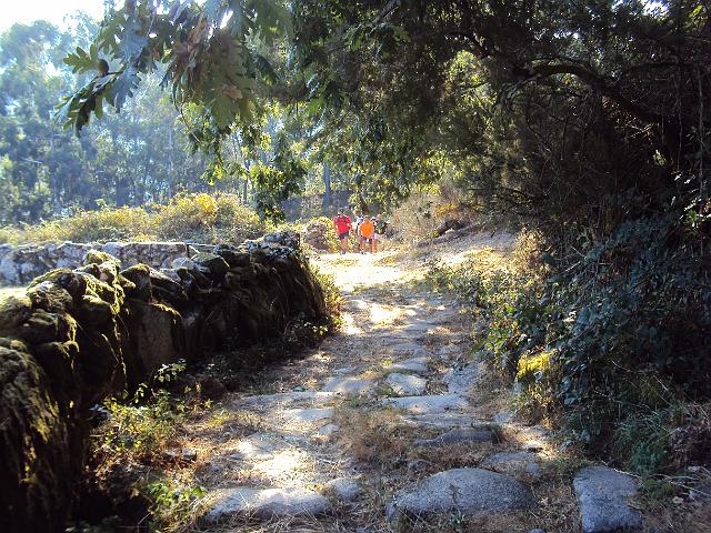 110- Algumas sombras.JPG